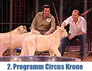 Martin Lacey jr. präsentiert 6 Babylöwen im 2. Winterprogramm 2013 @ Circus Krone  (©Foto: Martin Schmitz)